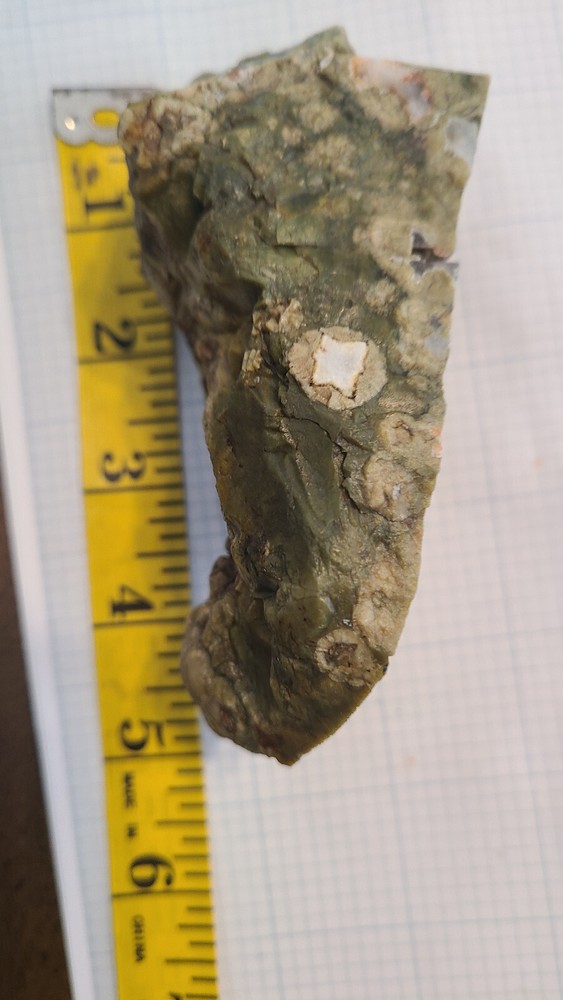 Rain Forest Jasper Rough