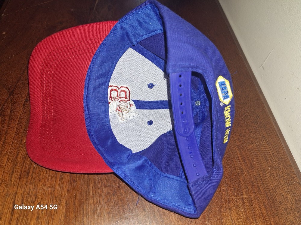 Buffalo Bisons Hat Snapback Buster Bison