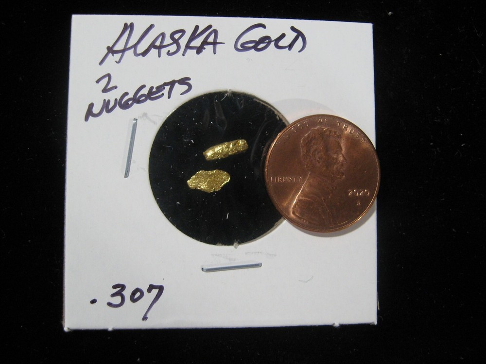 ALASKA GOLD 2 NUGGETS .307 GRAM