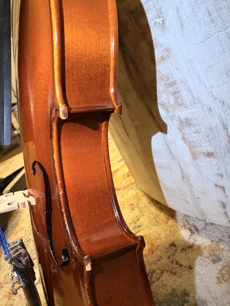 Voila Size 14 Student