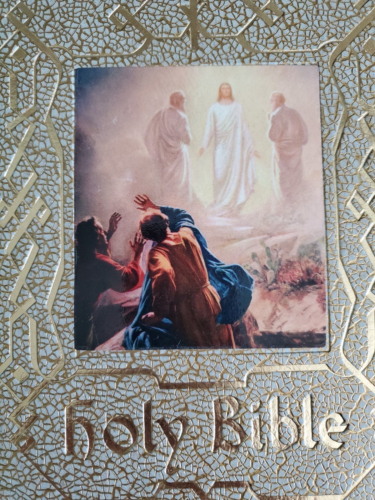 VTG Holy Bible Douay-Challoner & Confraternity Text 1951 White Illustrat Book