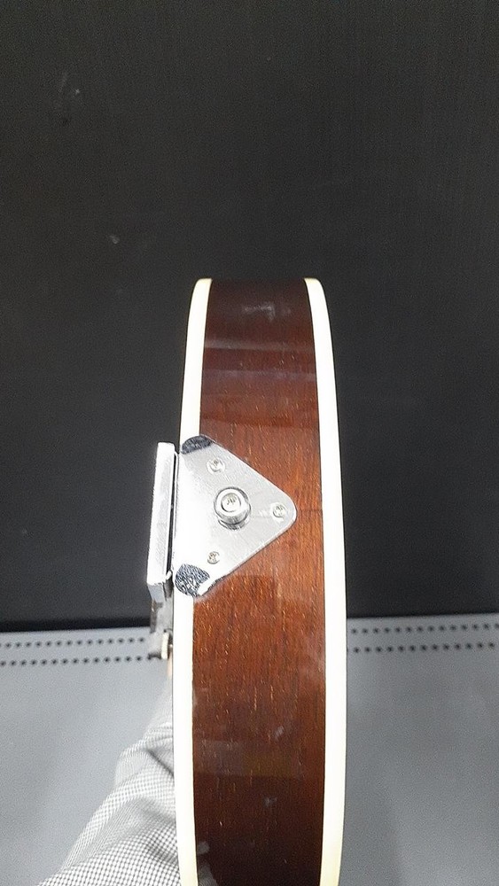 ARIA AM-200BS Mandolin