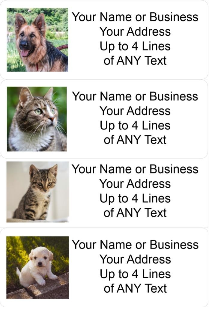60 Personalized Address Labels with Your Pet Photo Custom Stickers Tag Free Ship