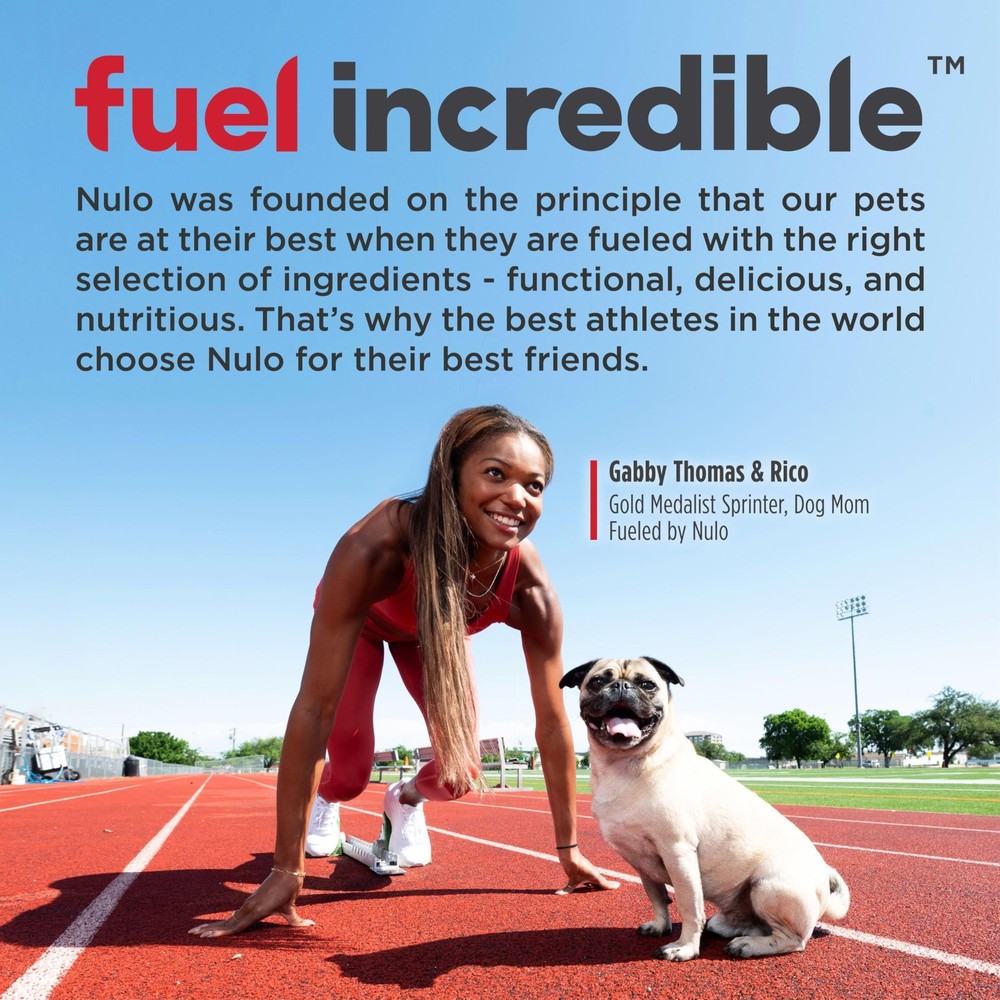 Nulo Frontrunner Ancient Grain Kibble Beef, Barley, & Lamb Recipe for Dogs 25...