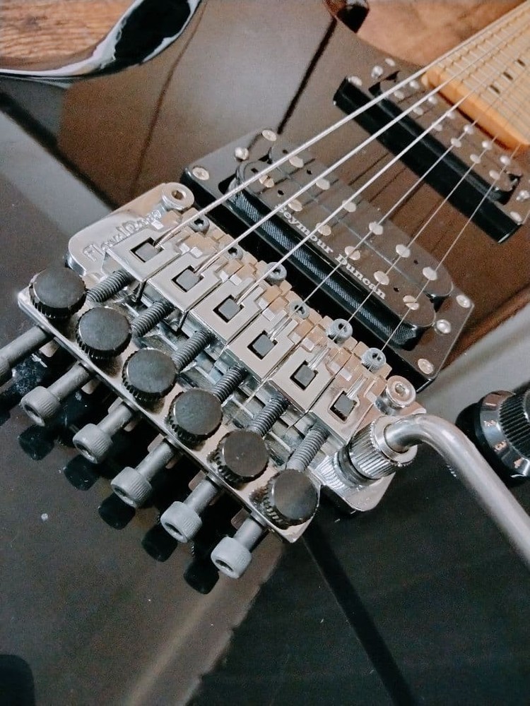 Edwards Electric Guitar Safe Packing!