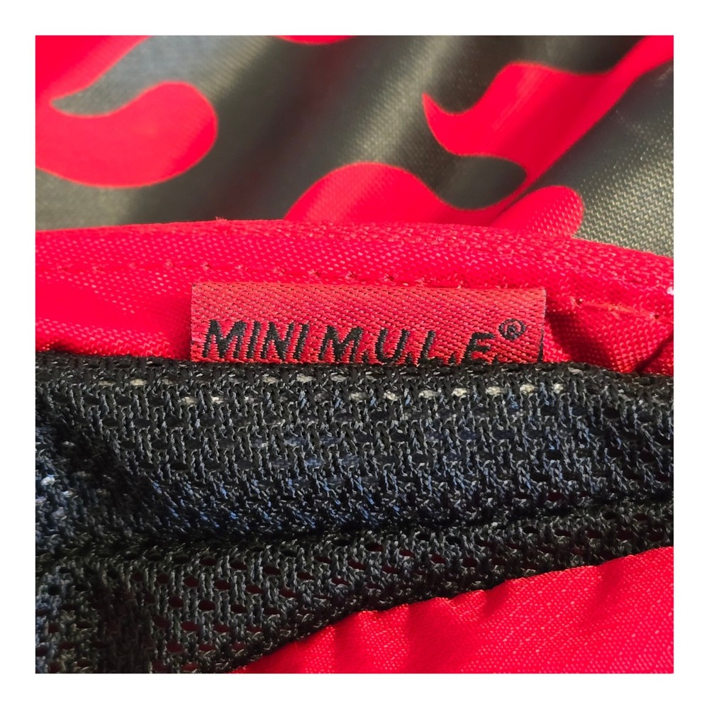 Camelbak Mini M.U.L.E. (50oz) Hydration Backpack Red Black Flames NO Bladder