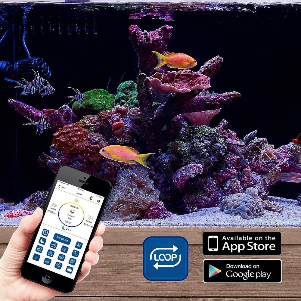 (18"-24") Orbit Marine LED Light w/Mini Bluetooth LOOP App Control (4200) - Curr