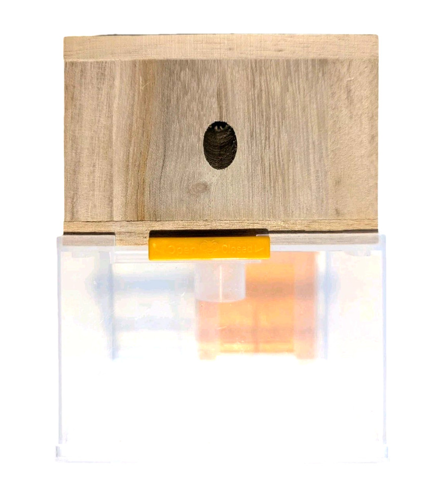 BeesnThings Hanging Bee Trap