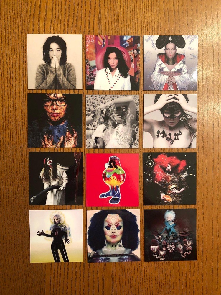 Bjork fridge magnets