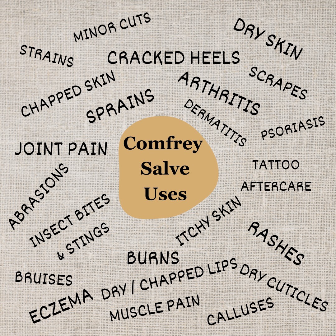 Organic Comfrey Salve | Joint/Muscle Aches, Sprains, Bruises, Itchy Skin, Eczema