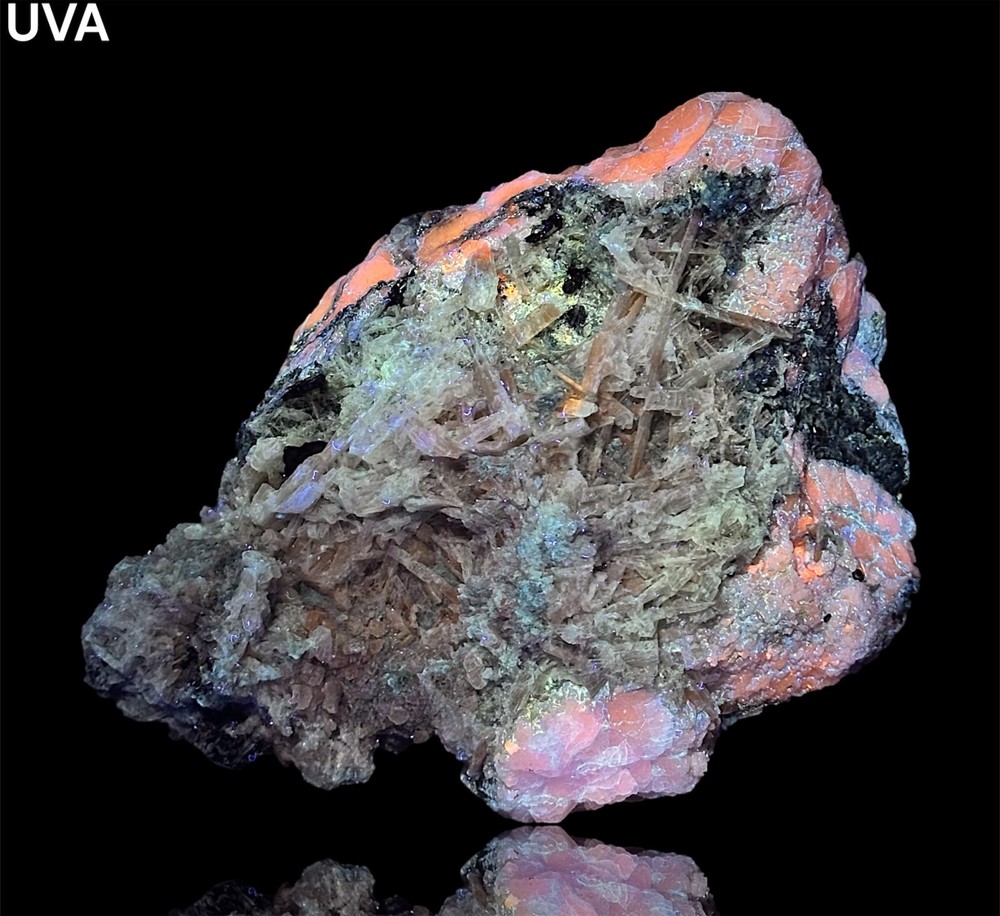 1086 Gr. Fluorescent Strong Persistent Phosphorescence Hackmanite W/ Richterite
