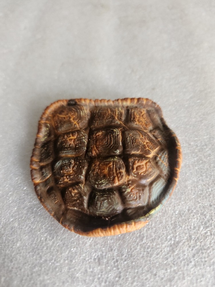 Artificial Rubber Turtle Shell Life-like • 3"×2⅞"