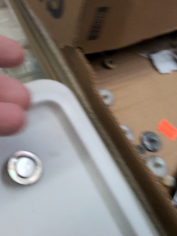 (10) Ablone Shell Buttons