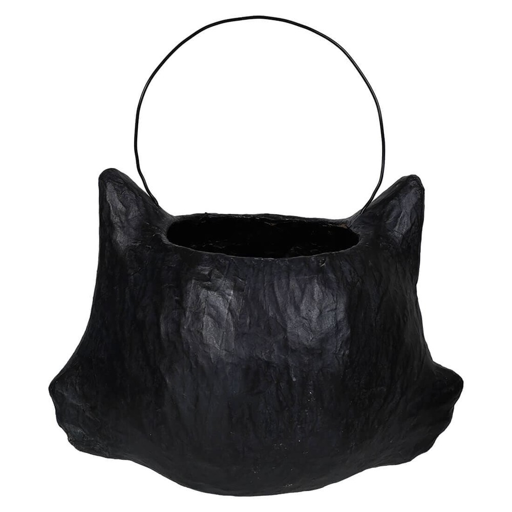 Amusing Black Cat Bucket
