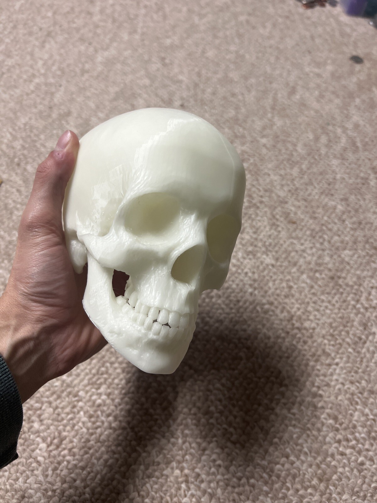Glow In the Dark Human Skull! (Good Quality:3DP:White-PLA) GREEN OR BLUE GLOW!