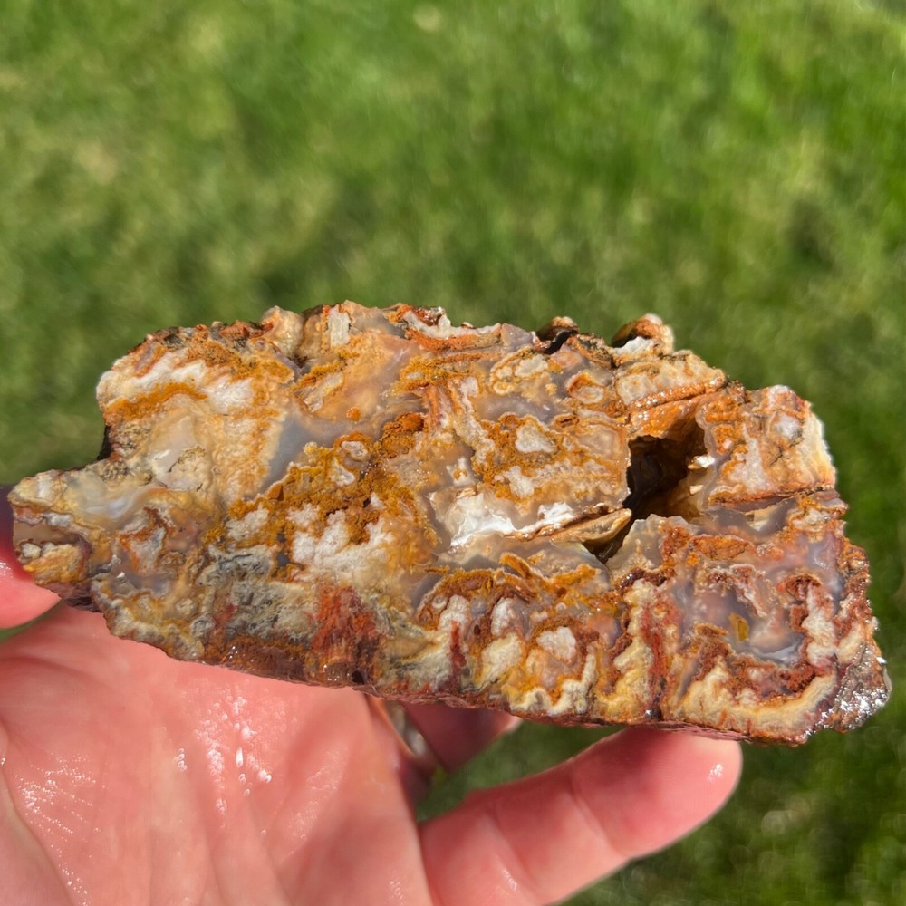 Liberty Ledge Agate Rough Faced Specimen 386gm (P22)