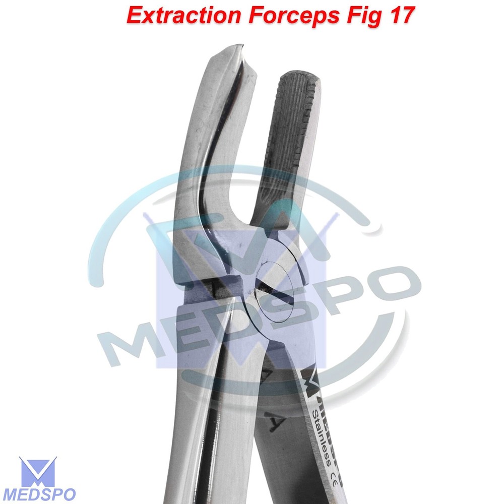 Tooth Extracting Extraction Forceps Fig 17 Right Upper Molar Dental Instruments