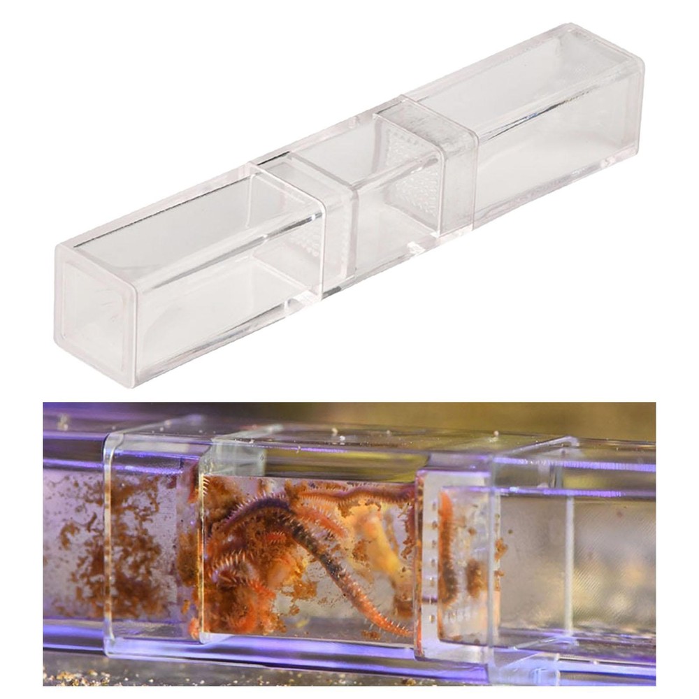 Flatworm Trap Stable for Cherry Shrimp Tanks Professional Bristle Worm Trap