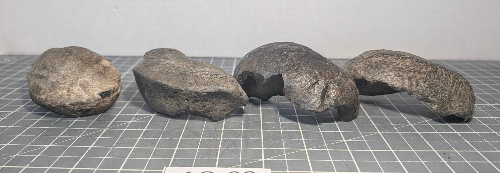 ** (RARE) (4) Fossilized Whale Ear Bones (~860g) AQ-08