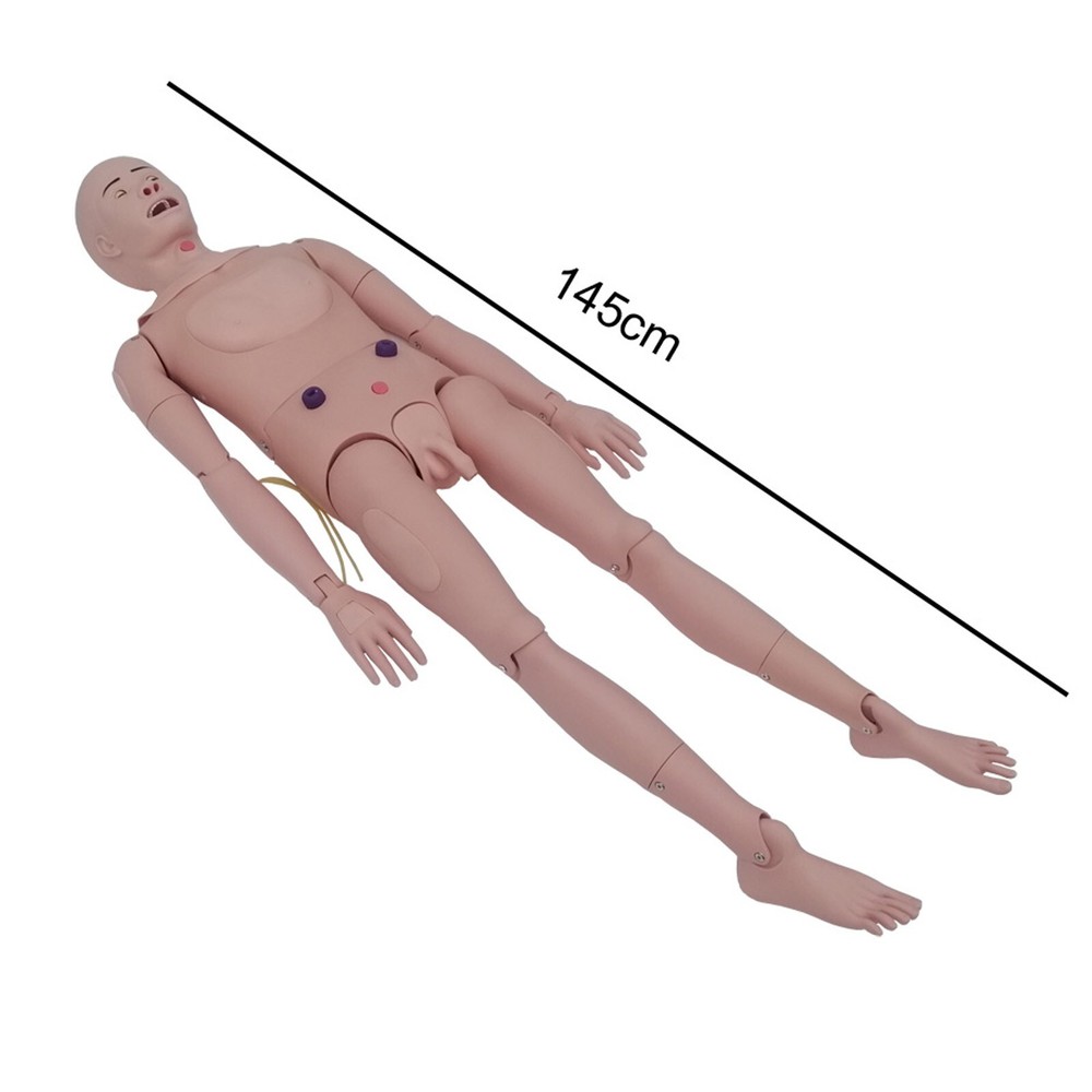 Advanced Patient Care Burn Teaching Anthropomorphic Model Trauma Nursing Model
