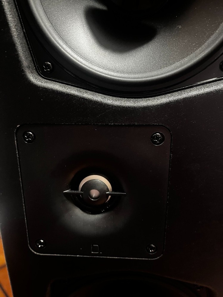 Dymension DM80 Tweeter replacement