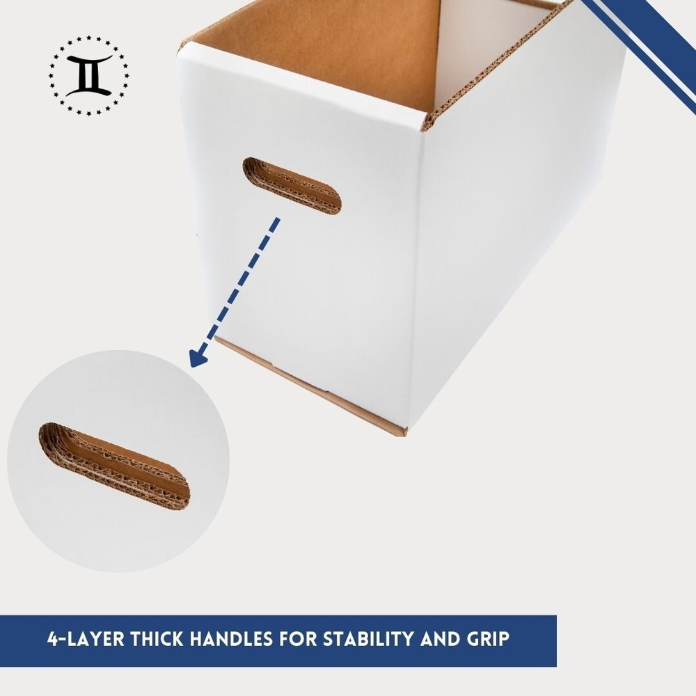 GEMINI Thick-Grip Short Comic Storage Box with Box Divider Bundle
