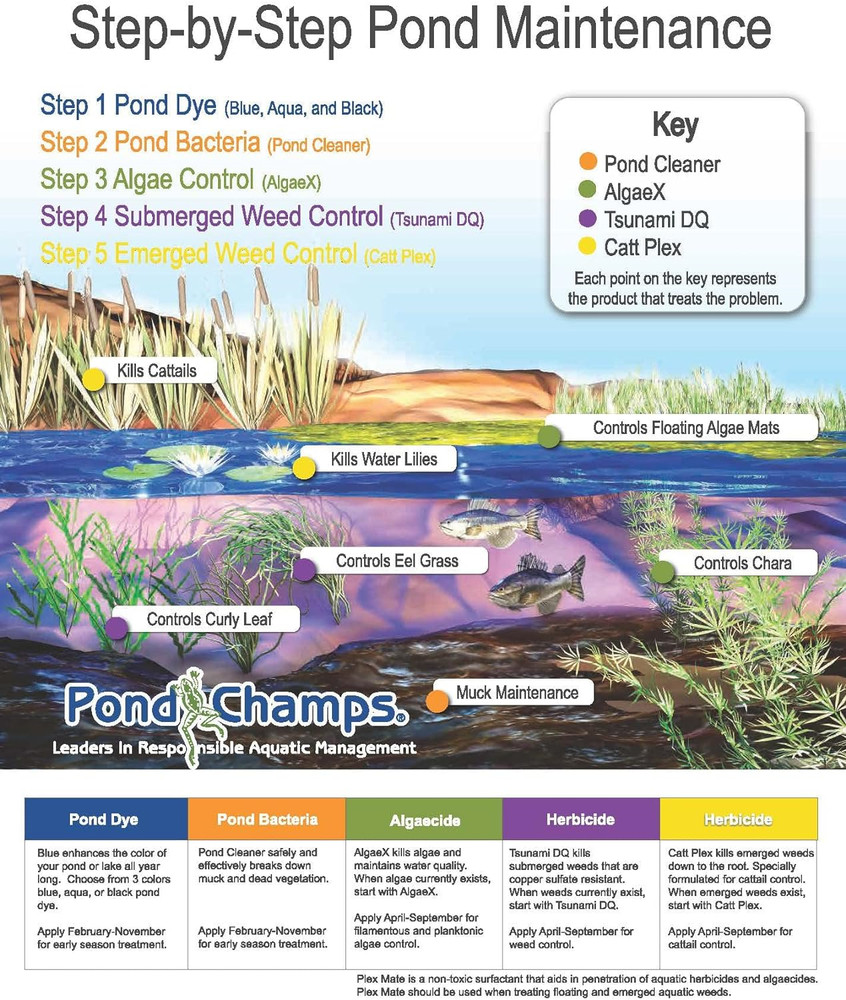 Blue Lake and Pond Dye 4 Gallon Value Pack
