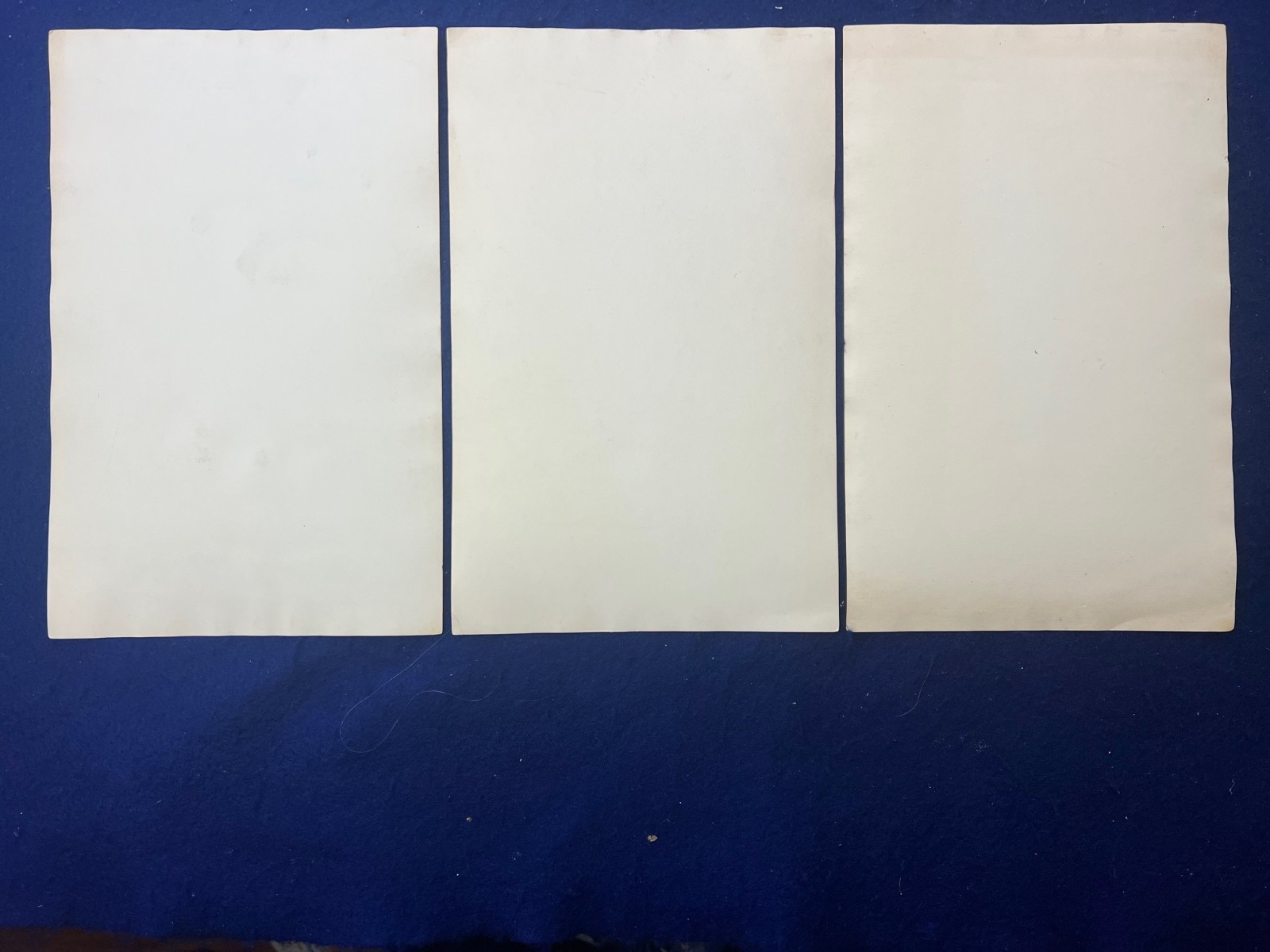 Nice WWI AEF Army Young Nurse Photo Set Signed France Hospital