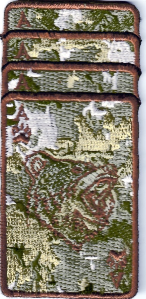 USN Navy Airborne Command & Control Squadron 124 VAW-124 'Bear Aces' patch -3