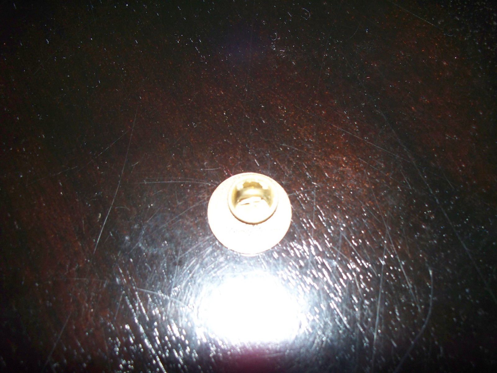 U.S. Department of Homeland Security SIGNED TOM RIDGE LAPEL PINS (LOT OF TEN)