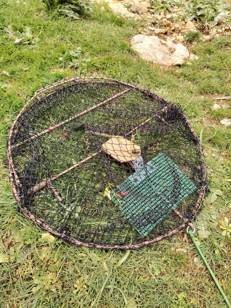 Oval Smart Bird Trap Net – Humane Catching Cage for Sparrows, Pigeons & parrot
