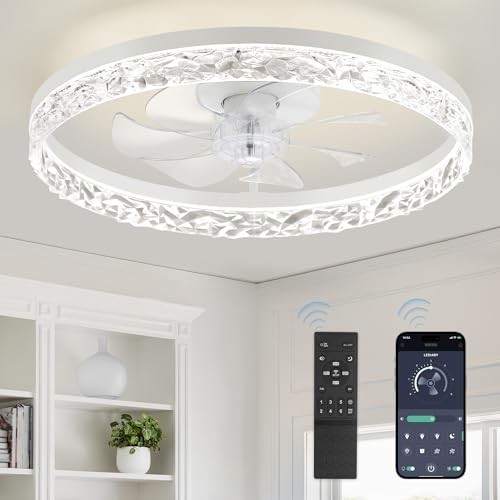 20" Modern Ceiling Fan with Lights & Remote, Dimmable, Low Profile, Flush Mount,