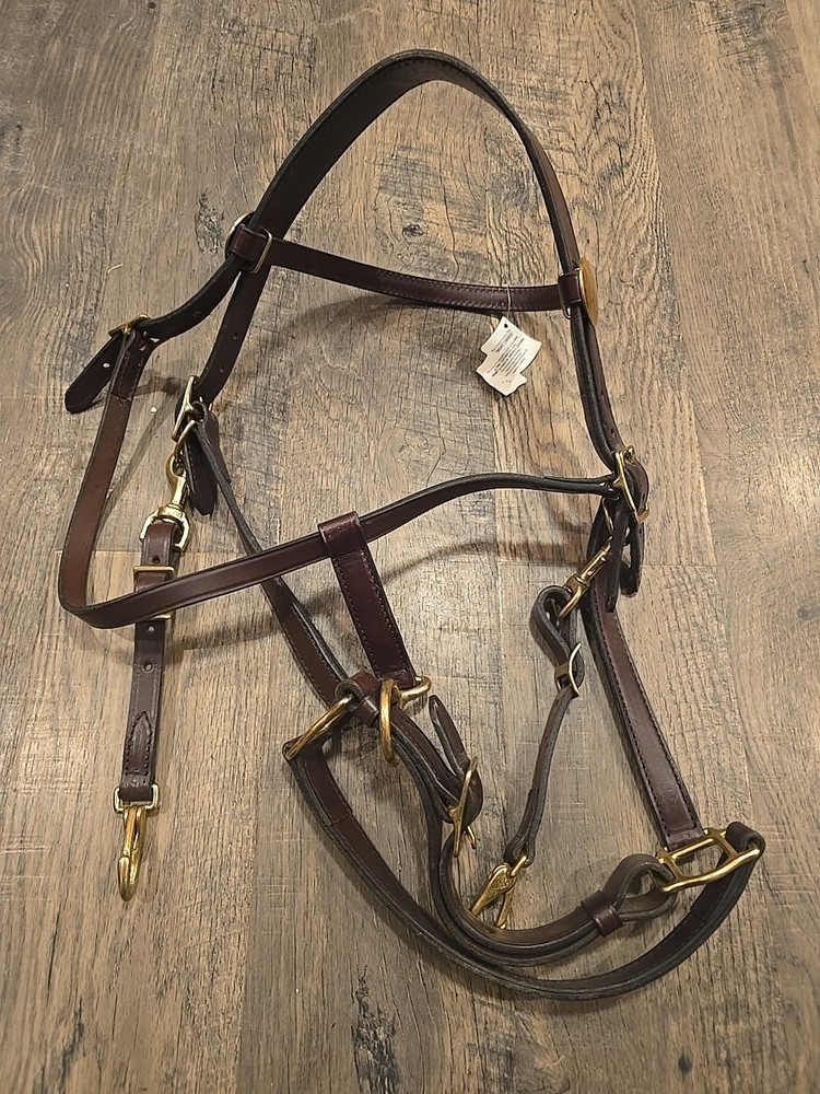 halter bridle combo