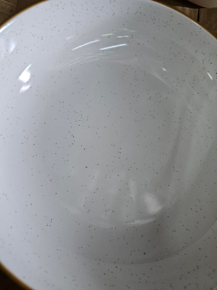 4 PACK - 8" Dinner Bowls - Over&Back Options Dinnerware Stoneware Speckled White