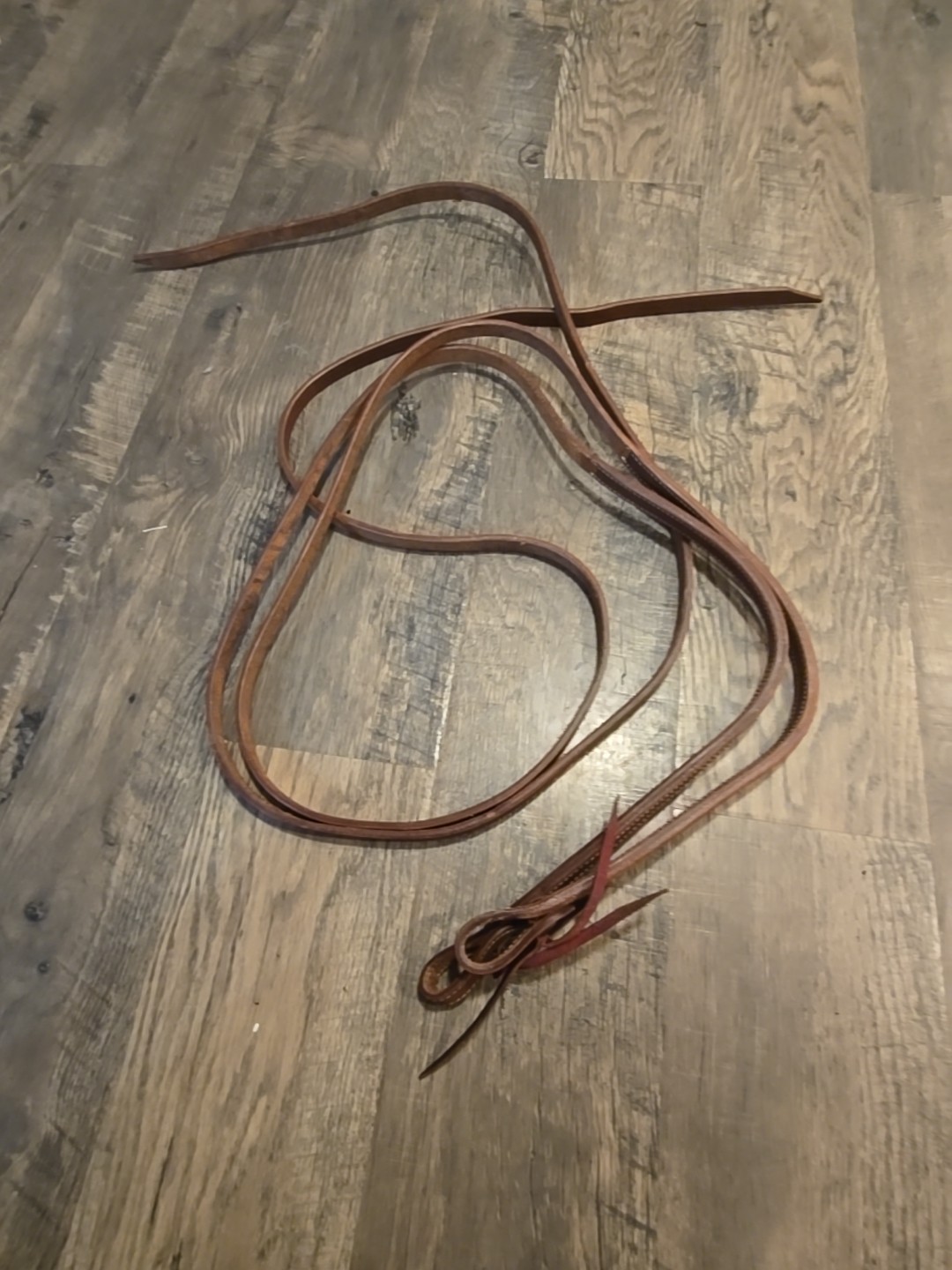 Western Reins