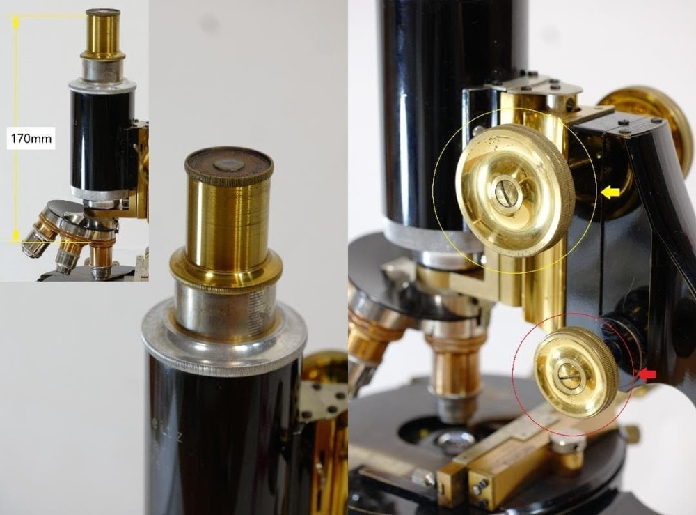 1923 Ernst Leitz AABM Research Microscope Binocular Monocular Apochromat Antique