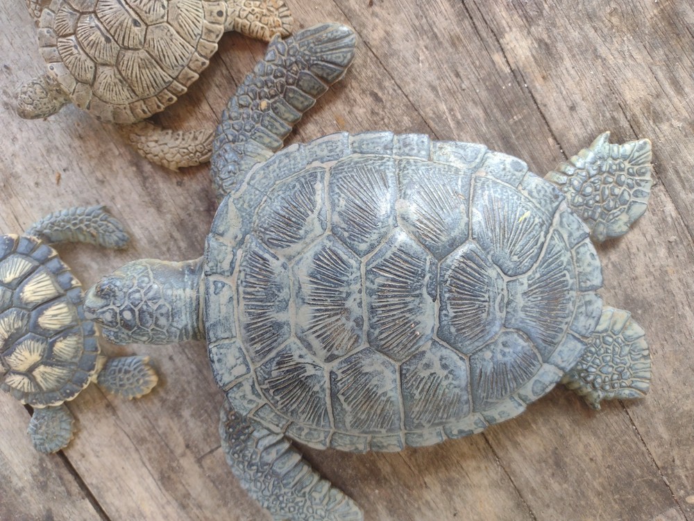 rubber turtles decor