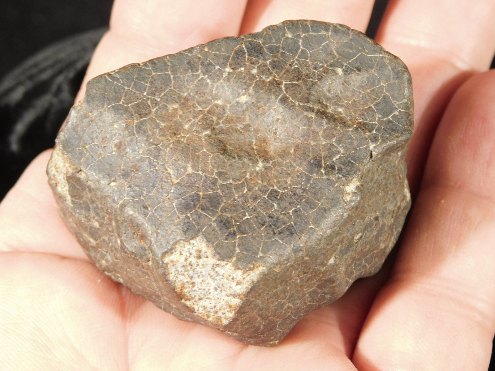 H6 Stony METEORITE Regmaglypts DARK Fusion Crust and Contraction CRACKS! 138gr