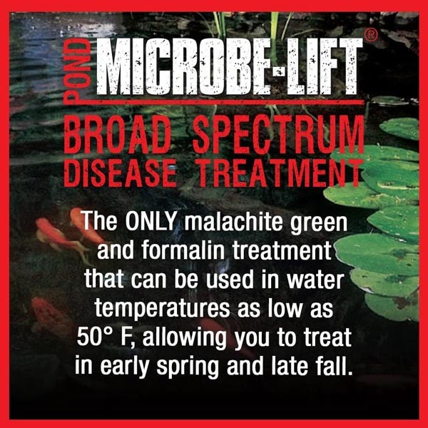 Microbe-Lift Broad Spectrum Disease Treatment, 1 Gallon