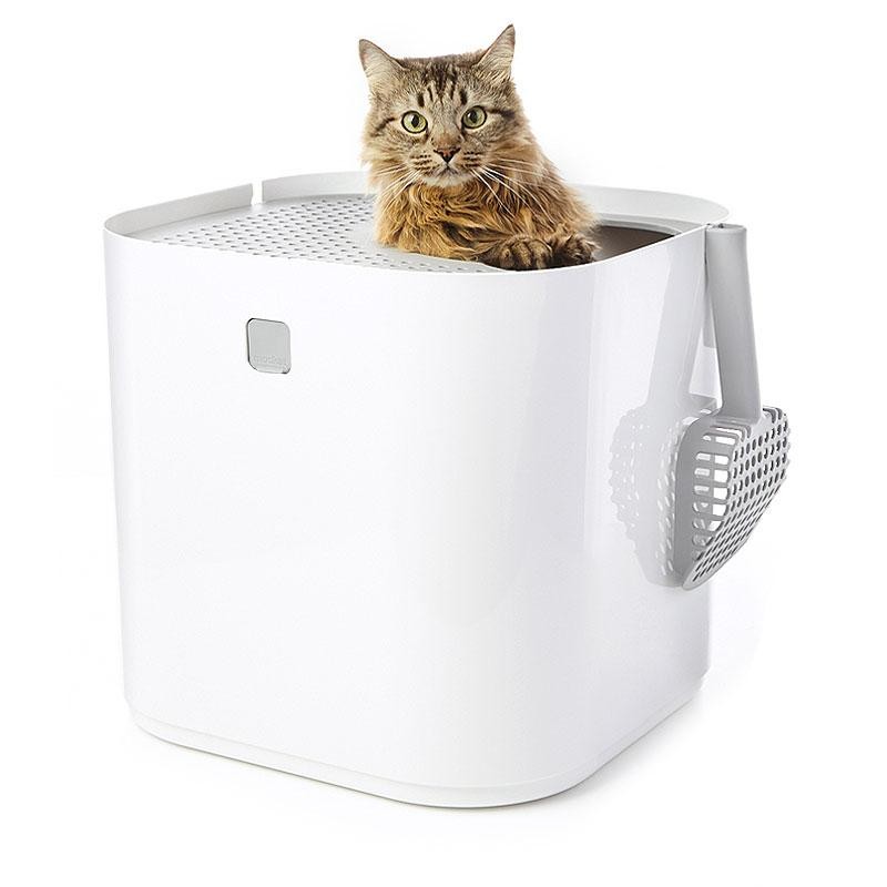 Modkat Top Entry Litter Box Starter Kit (All Colors) NEW! ✨