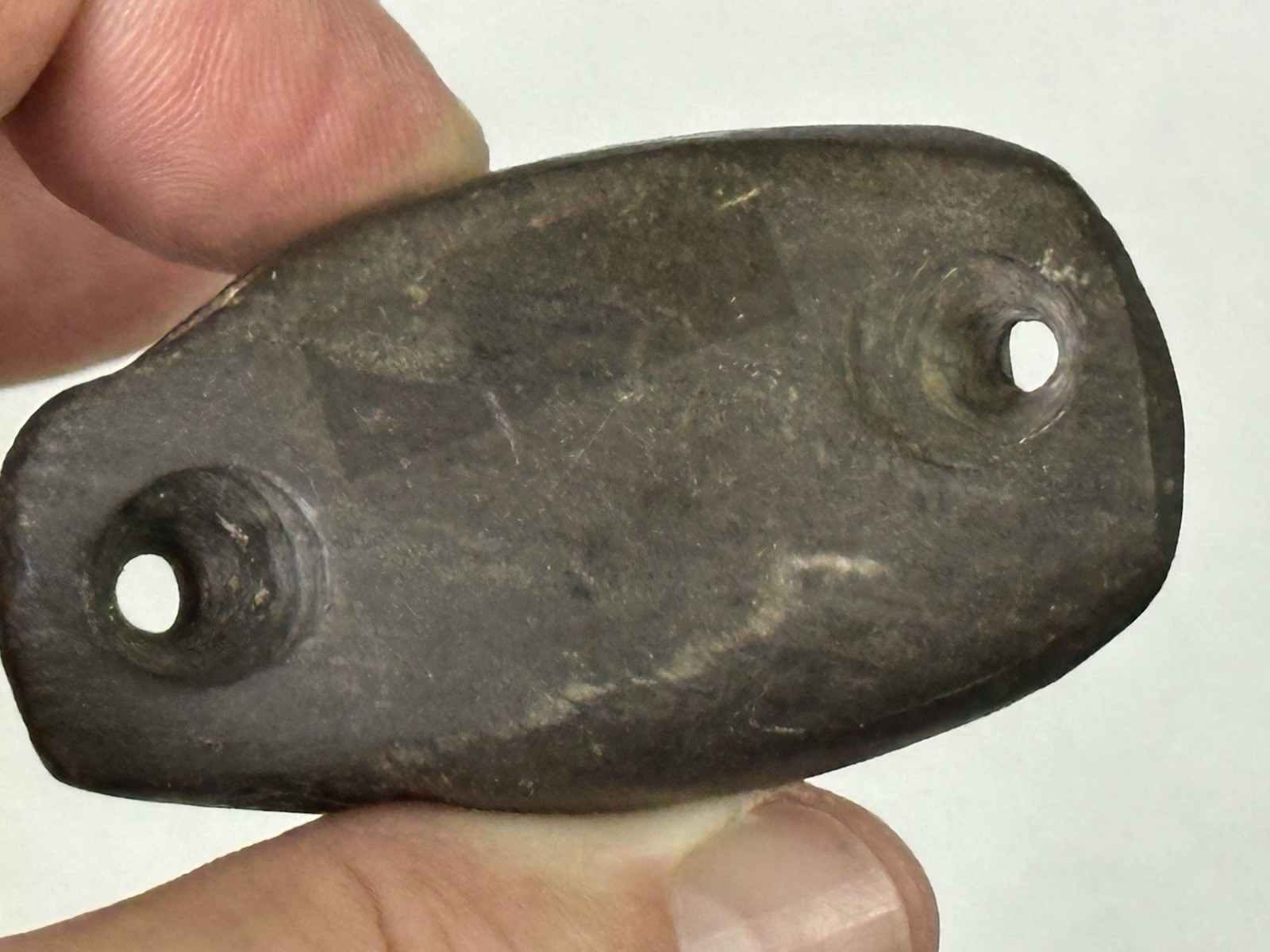 RARE AUTHENTIC BANDED SLATE BIRDSTONE FROM ASHLAND CO. OHIO, MOTLEY COA