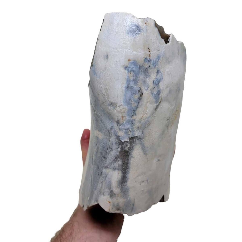 RARE Polish Flint Orbicular Rough Chunk!