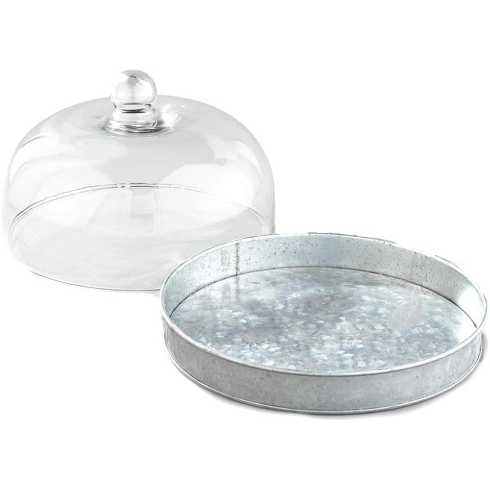 SkyMall Galvanized Metal and Glass Dome Server - Silver