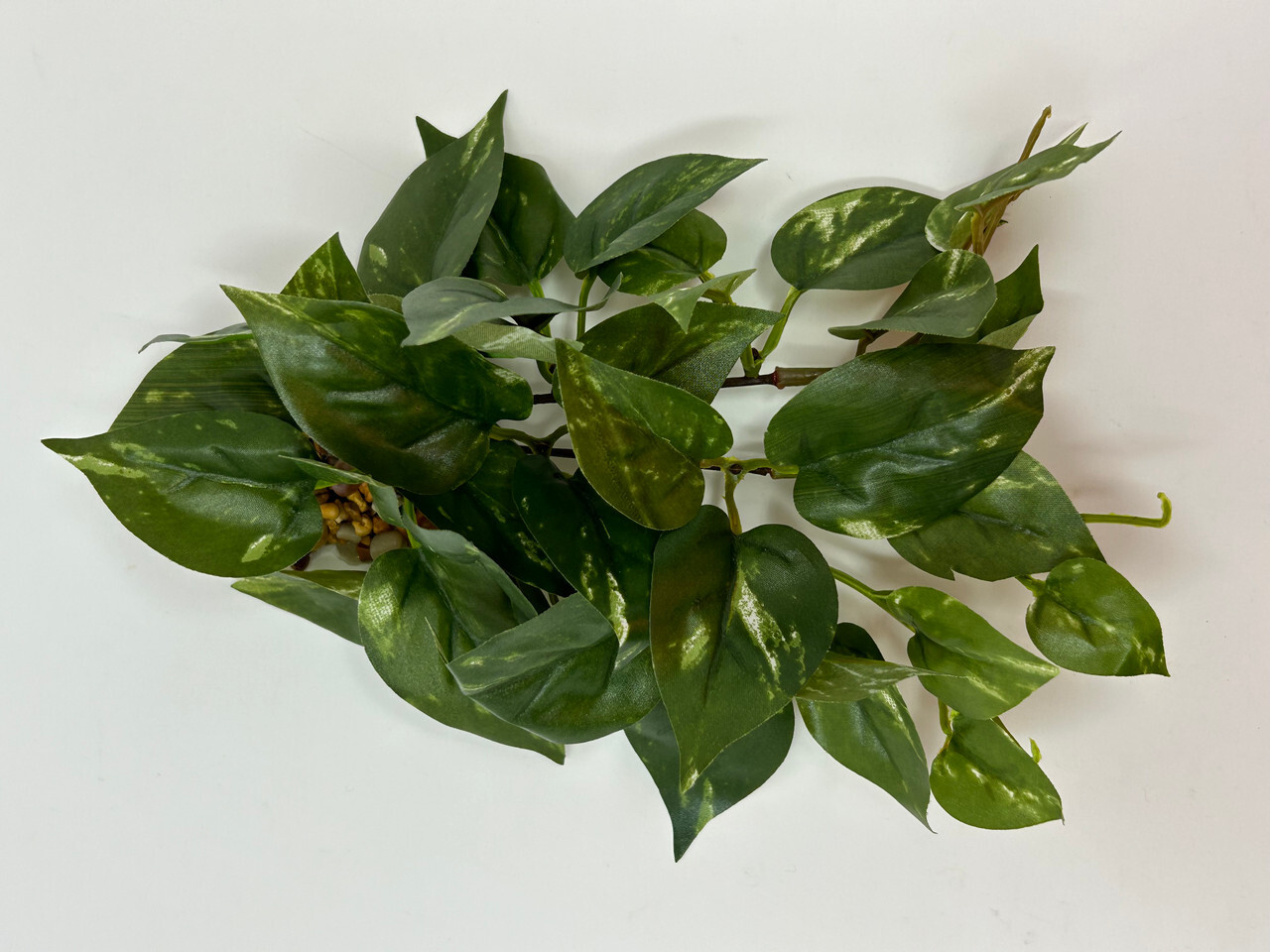 9" LONG, LOW Green/White POTHOS Bush, soft silk aquarium plant, stone base