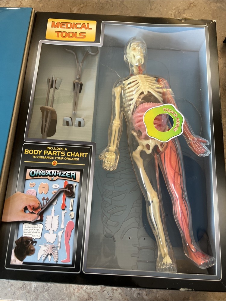 SmartLab You Explore It HUMAN BODY MODEL, Removable SQUISHY ORGANS, Tools & Book