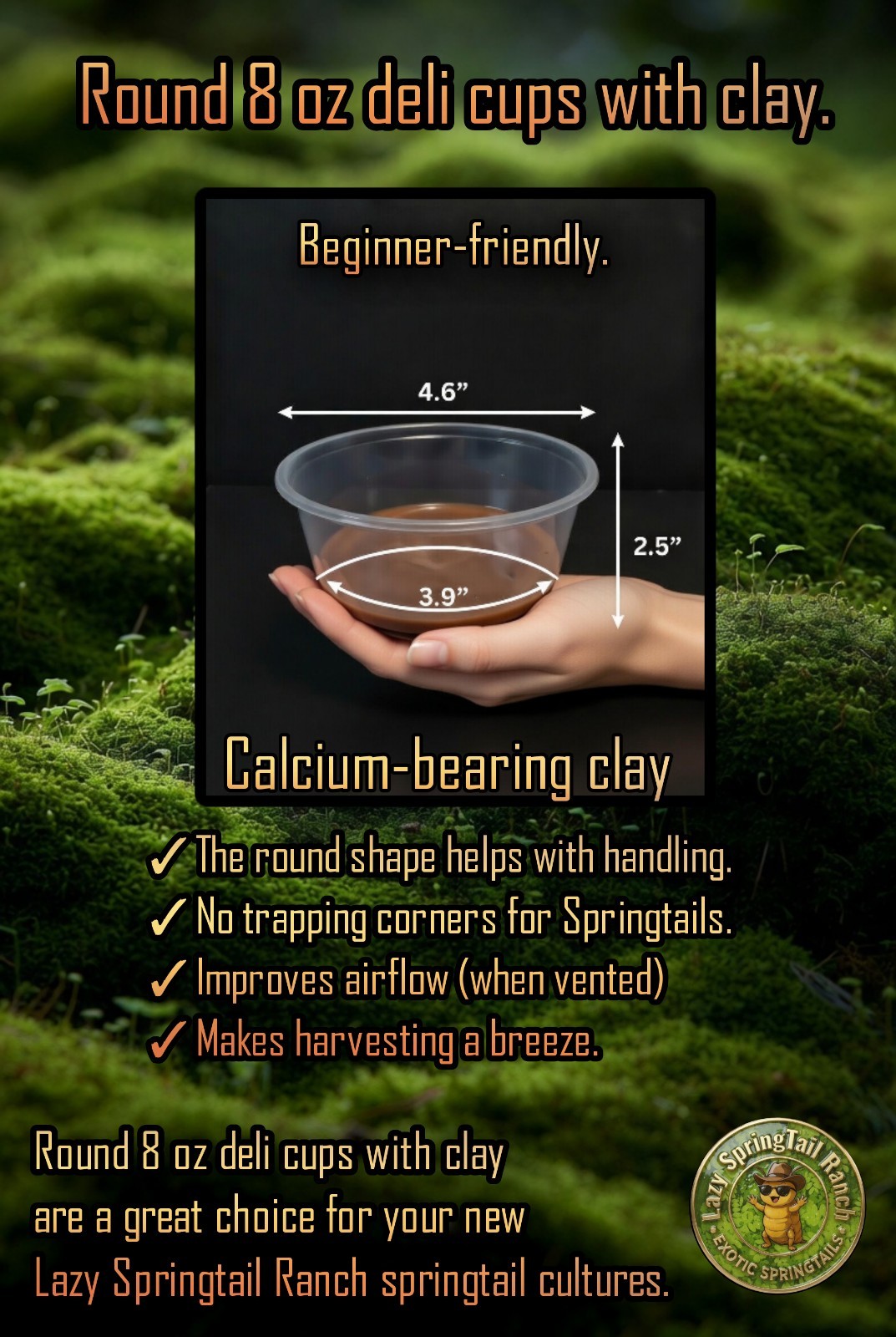 Live purple Springtails + (care kit)