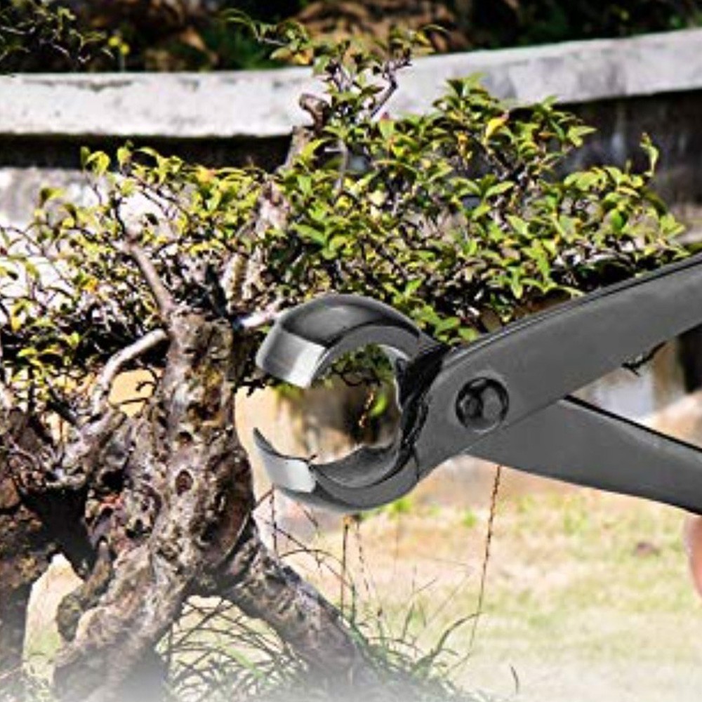 Ergonomic Bonsai Pruning Shears with Round Concave Blade for Precision