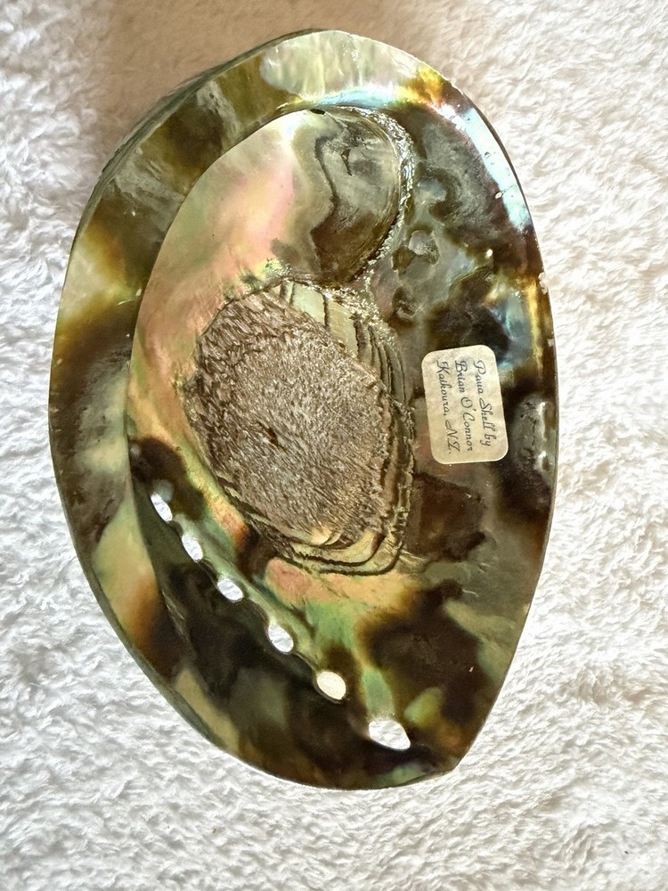 Paua Shell By Brian O’Conner