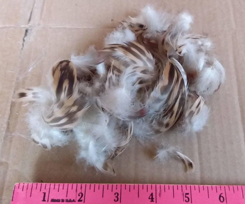 Fly Tying Flank Feathers - NOS