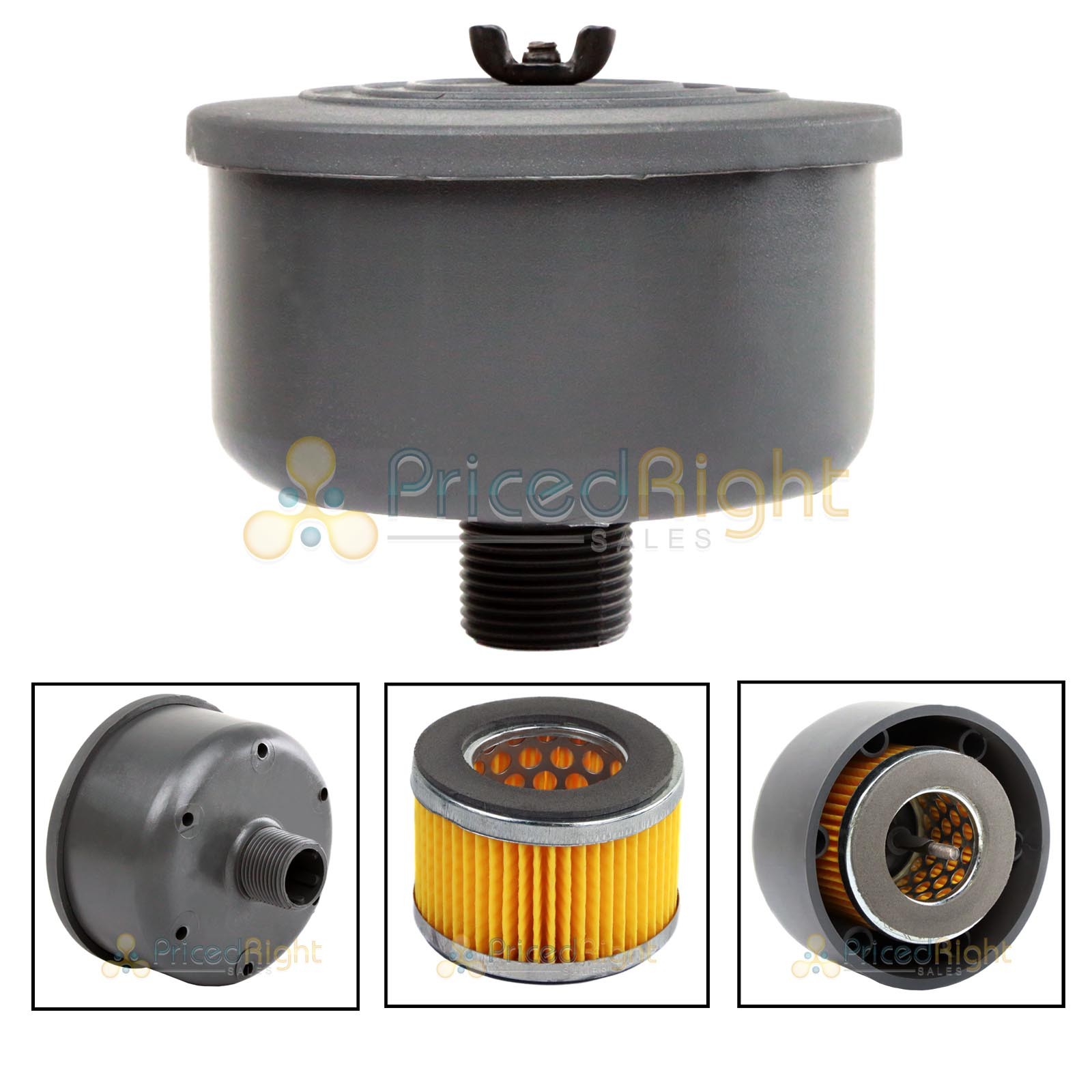 3/4" NPT Air Compressor Intake Filter and Housing for Puma Canister Element